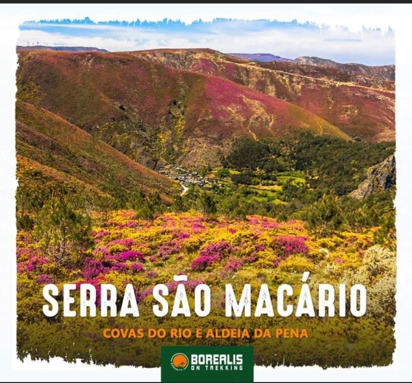 Terraco D'Aldeia Villa São Pedro do Sul Eksteriør bilde